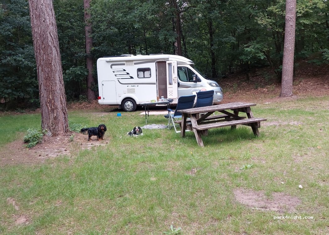 Natuurkampeerterrein Lheederzand — foto