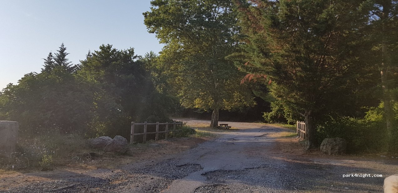 (20250) Casanova - Territoriale 20 — foto