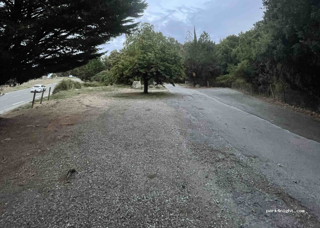 (20250) Casanova - Territoriale 20 — foto 5