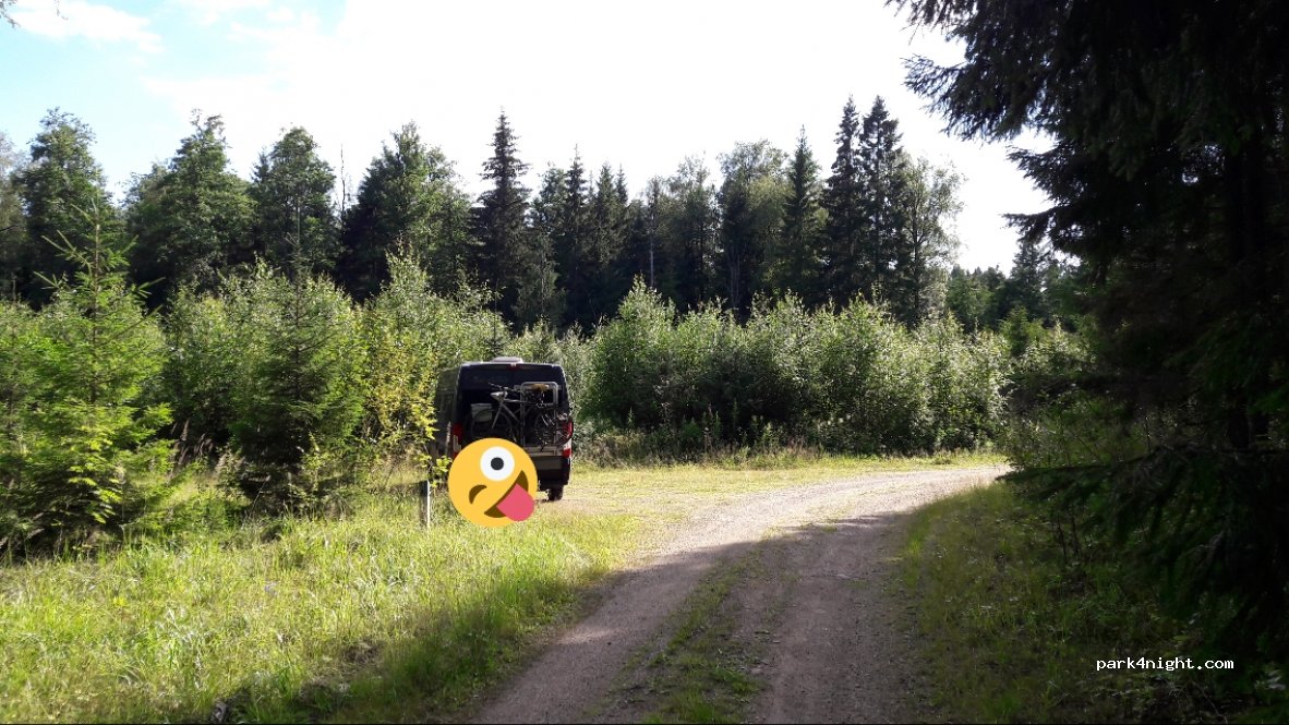 (58450) Savonlinna - 374 Puistometsäntie — foto 3