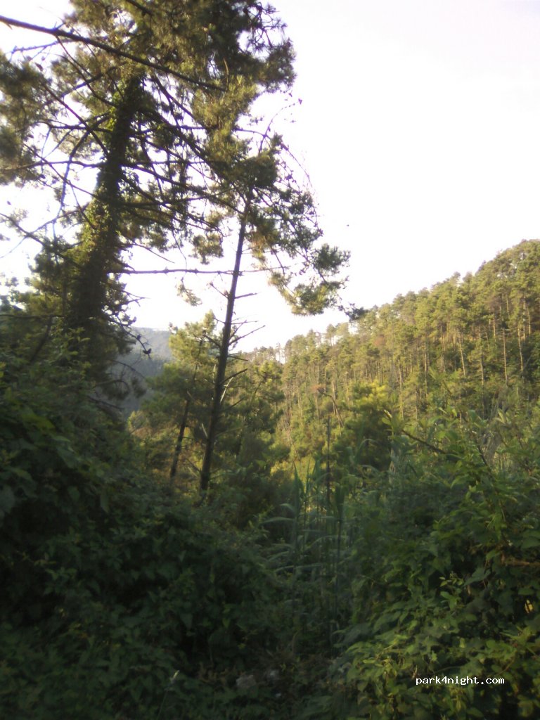(19017) Volastra - Unnamed Road — foto 2