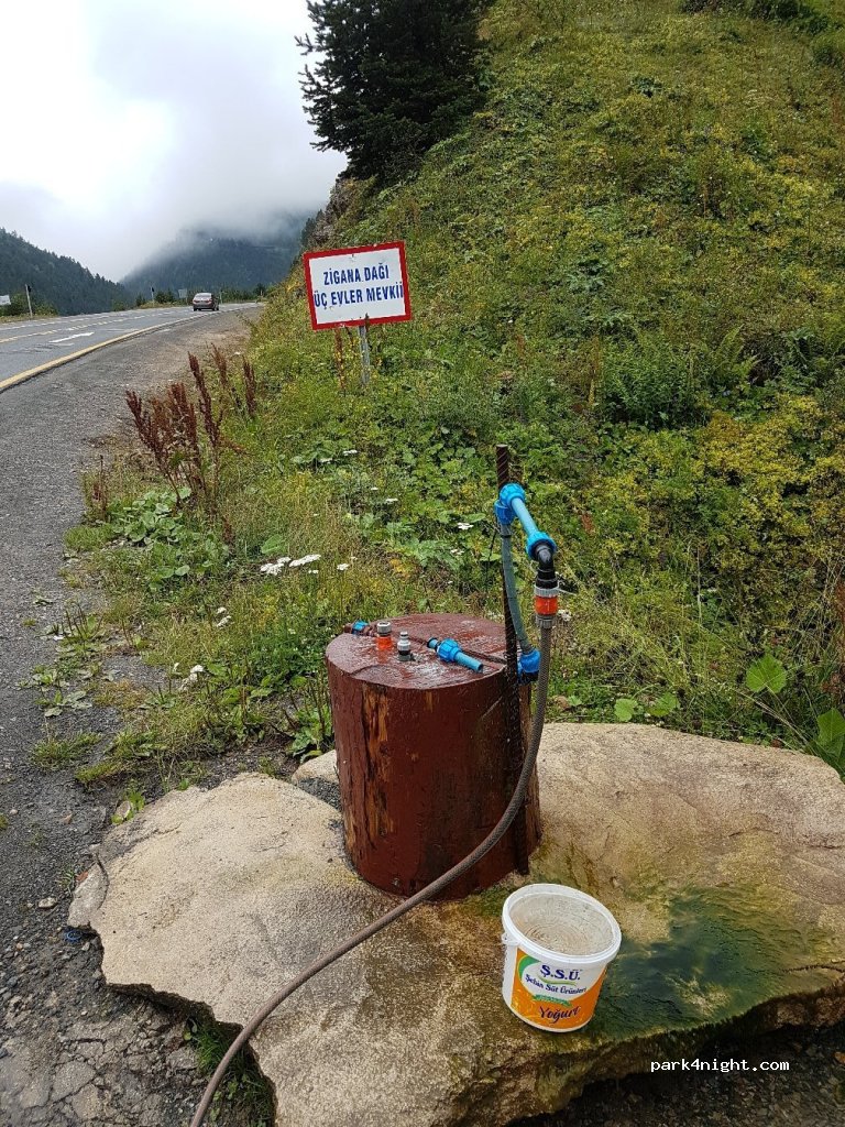 (61750) Maçka/Trabzon - D885 / Trabzon Gümüşhane Yolu — foto