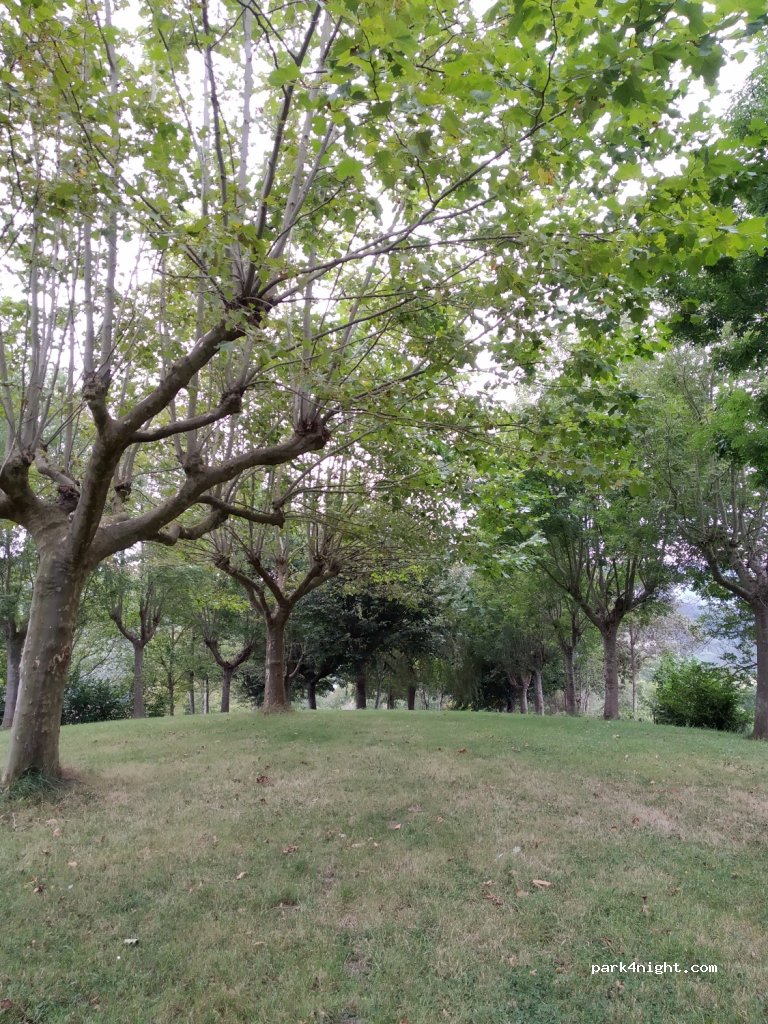 (20268) Amezketa - 17 Altunegiko Auzoa — foto 3