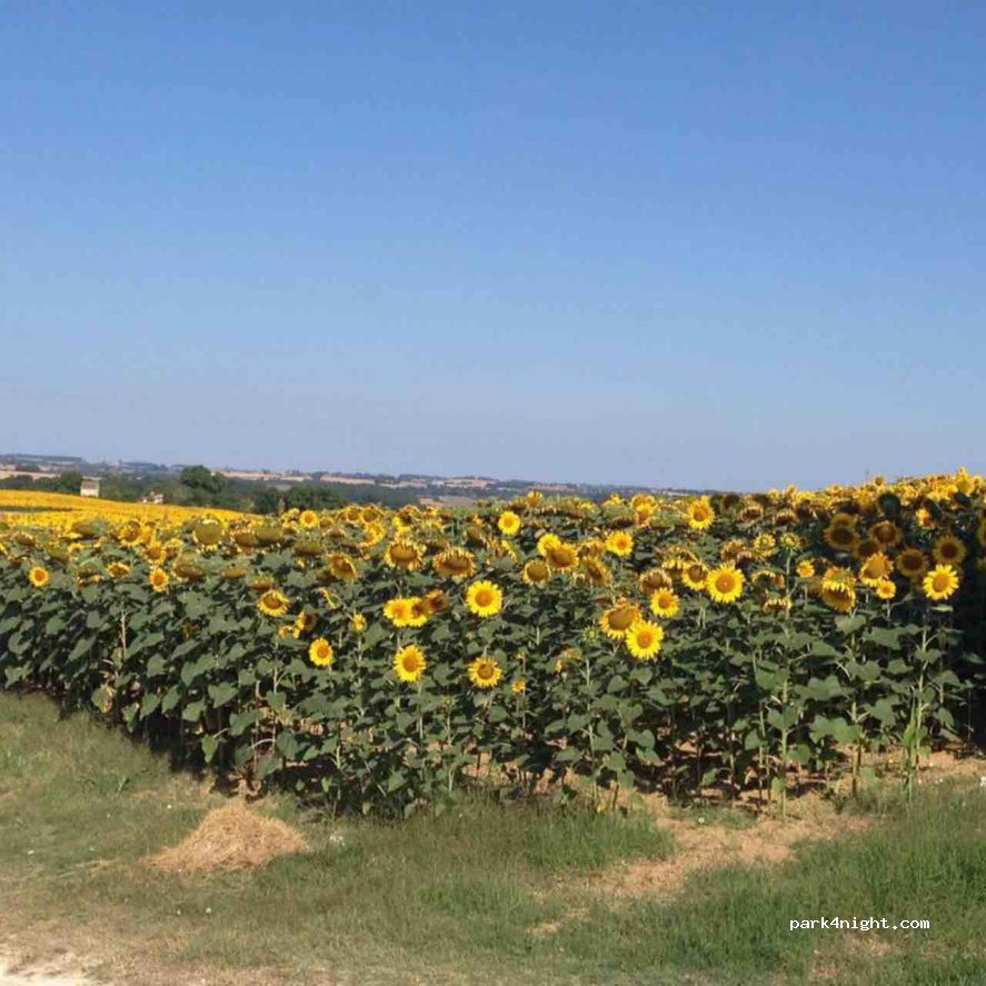 Camping naturiste "Devéze" — foto