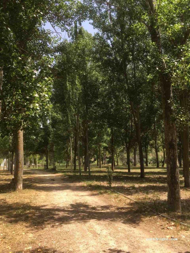 (47315) Pesquera de Duero - 23 Calle Nevera — foto 2
