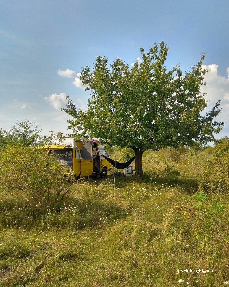 (32163) Strikhivtsi - Unnamed Road — foto