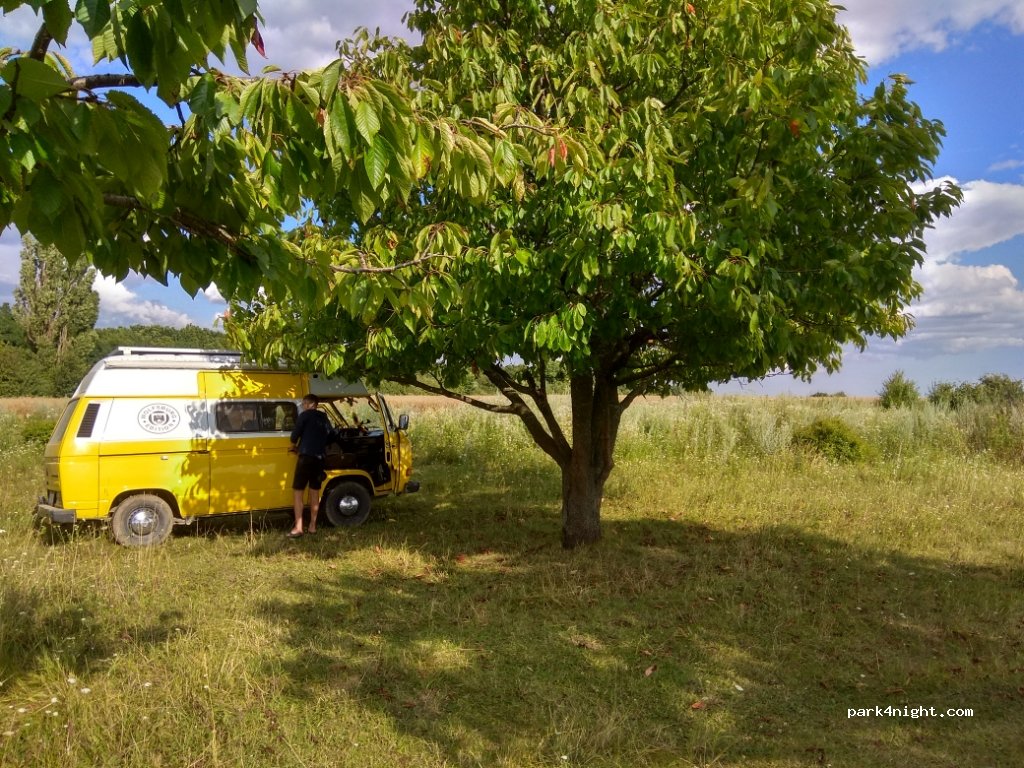 (32163) Strikhivtsi - Unnamed Road — foto 3