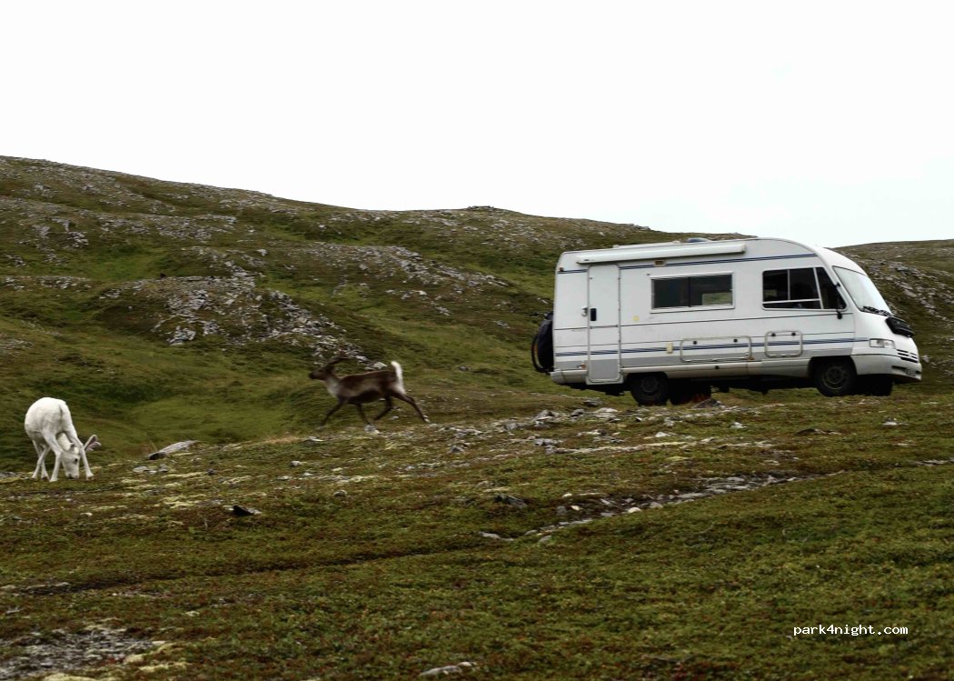 (9763) Skarsvåg - E69 — foto 5