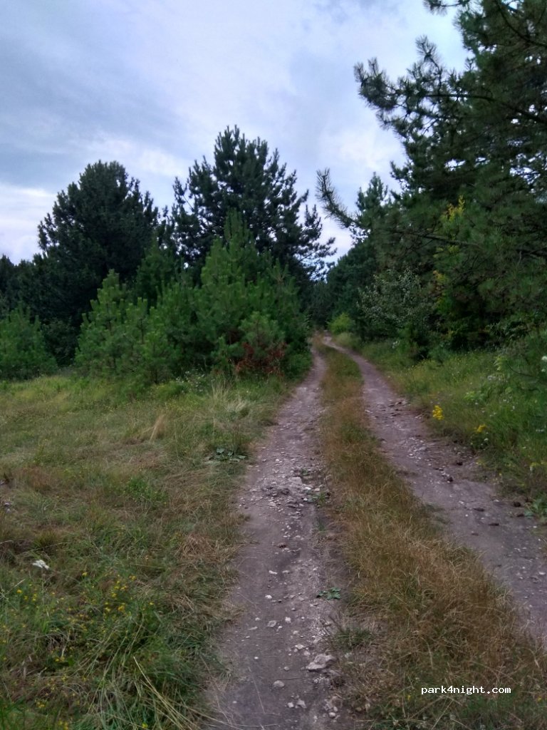 () Khmel'nyts'ka oblast - Unnamed Road — foto 3