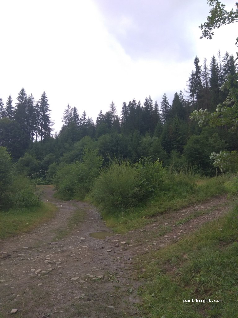 (90022) Zakarpattia - T0718 — foto 3