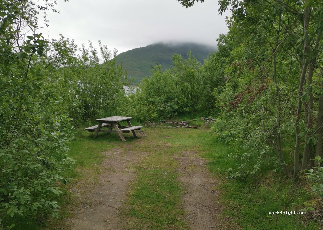 (9046) Oteren - Primær Fylkesveg 868 — foto 3