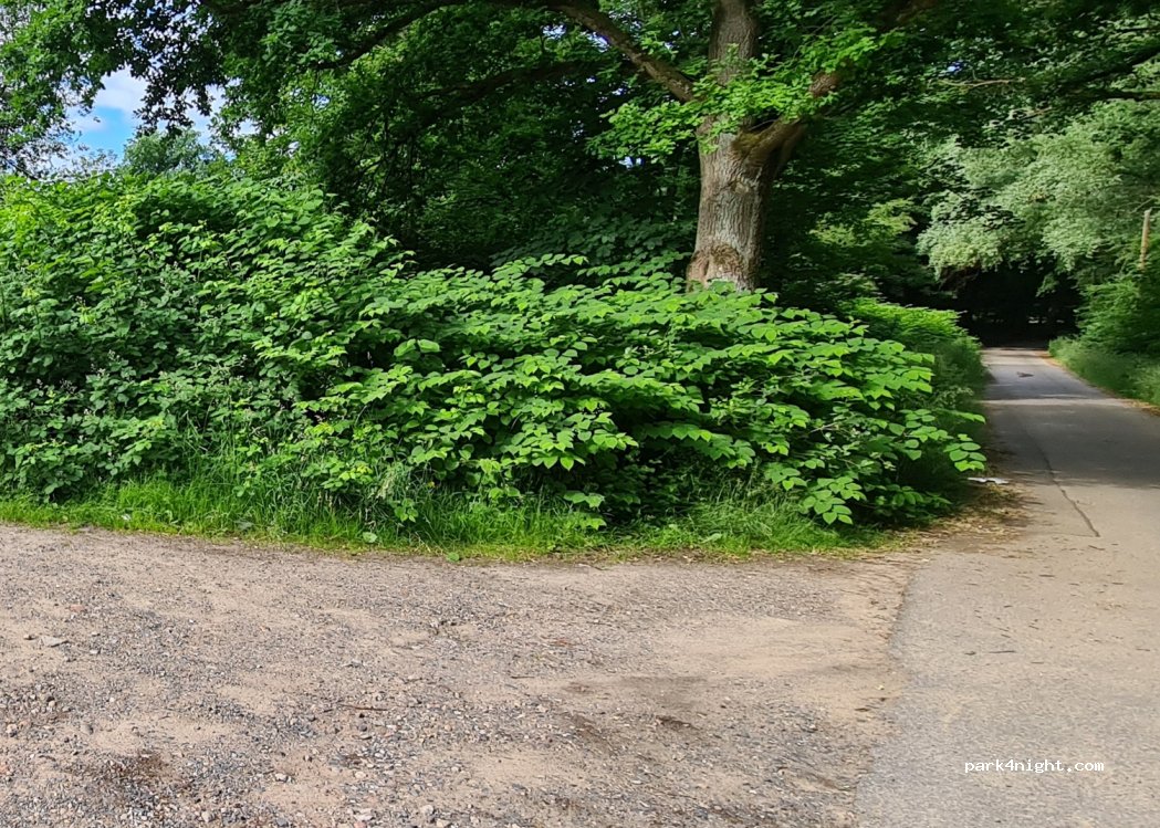 (22885) Barsbüttel - Am Bondenholz — foto 2