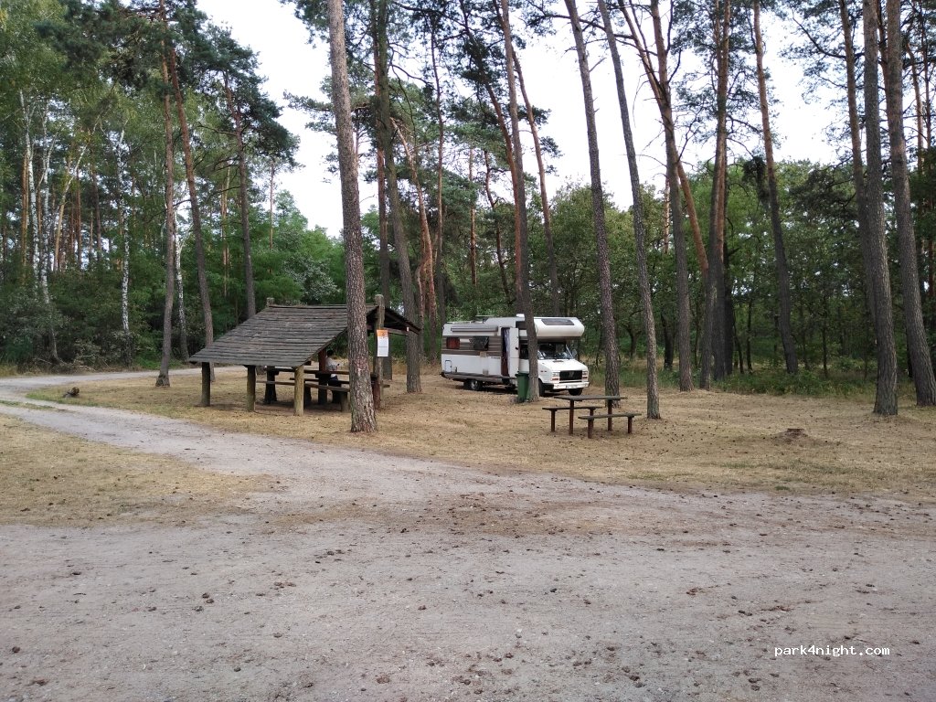 (62-731) Smulsko - Droga Krajowa 72 — foto