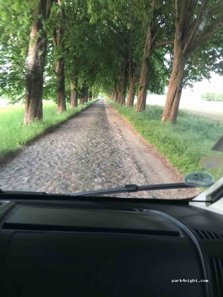 (18236) Kröpelin - Kastanienallee — foto 3