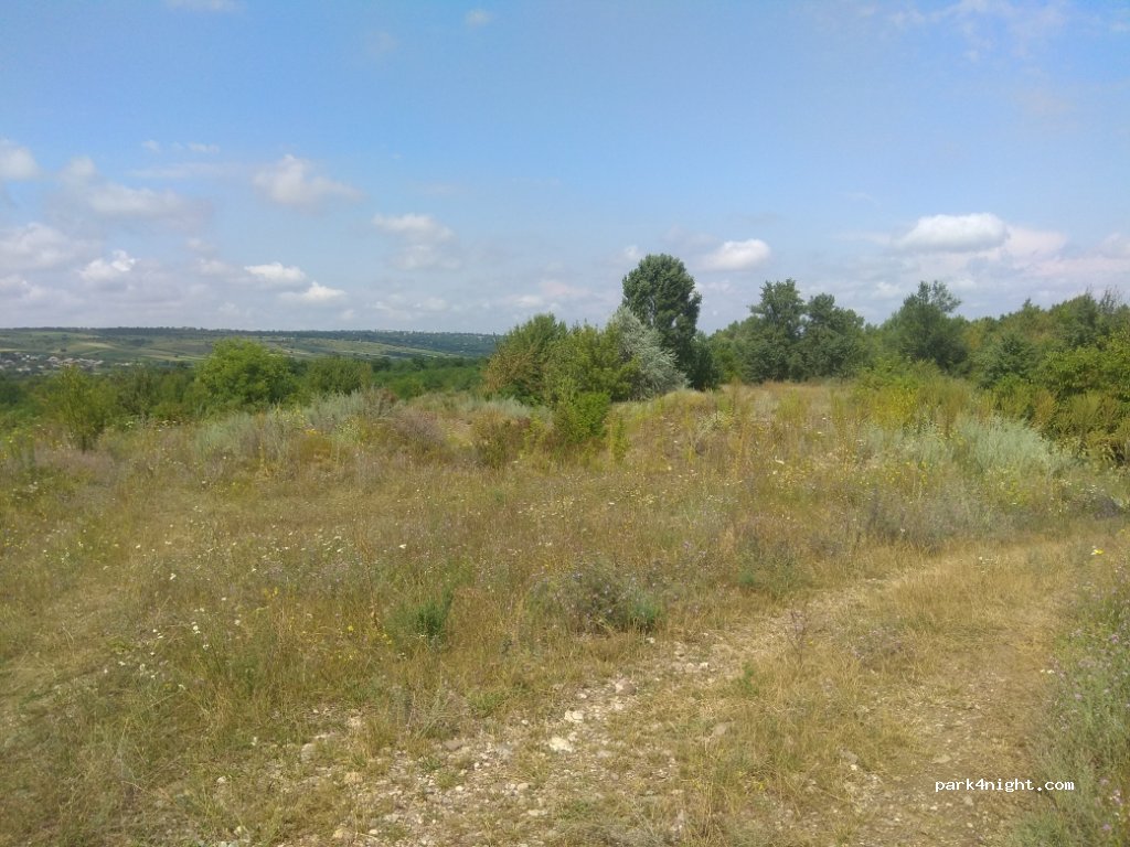 (32378) Babshyn - Unnamed Road — foto