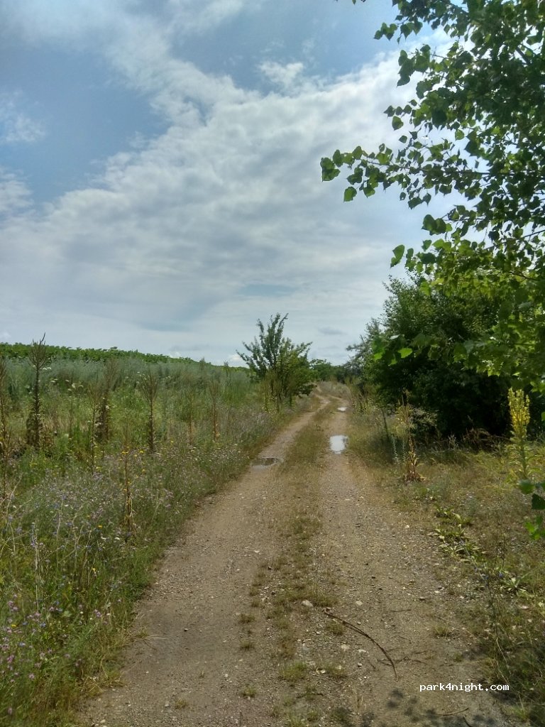 (32378) Babshyn - Unnamed Road — foto 2
