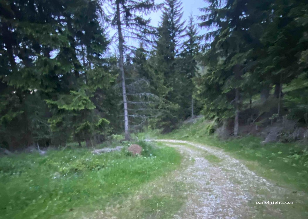 (9335) Hüttenberg - L91 — foto 2
