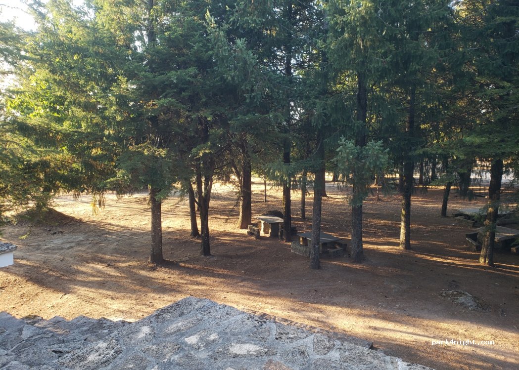 (3650) Vila Nova de Paiva - N329 — foto 4