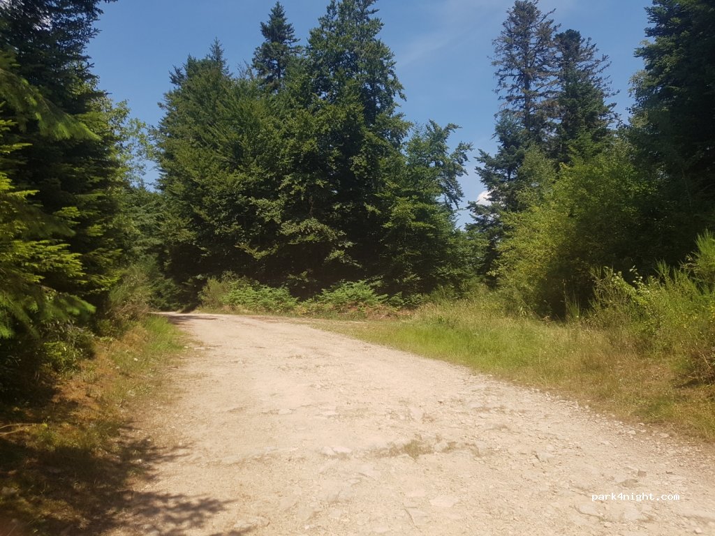 (42430) Chausseterre - D1 — foto