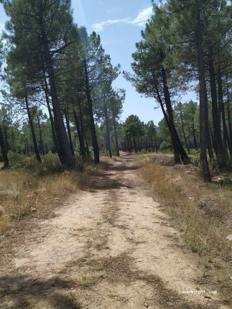 (42164) Almarza - Unnamed Road — foto