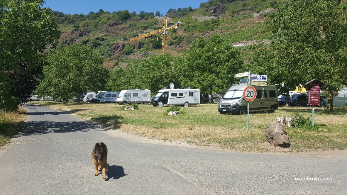 Wohnmobilstellplatz Neef — foto