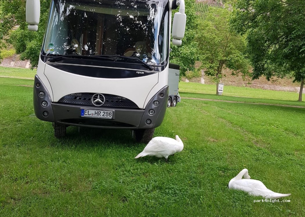 Wohnmobilstellplatz Neef — foto 4