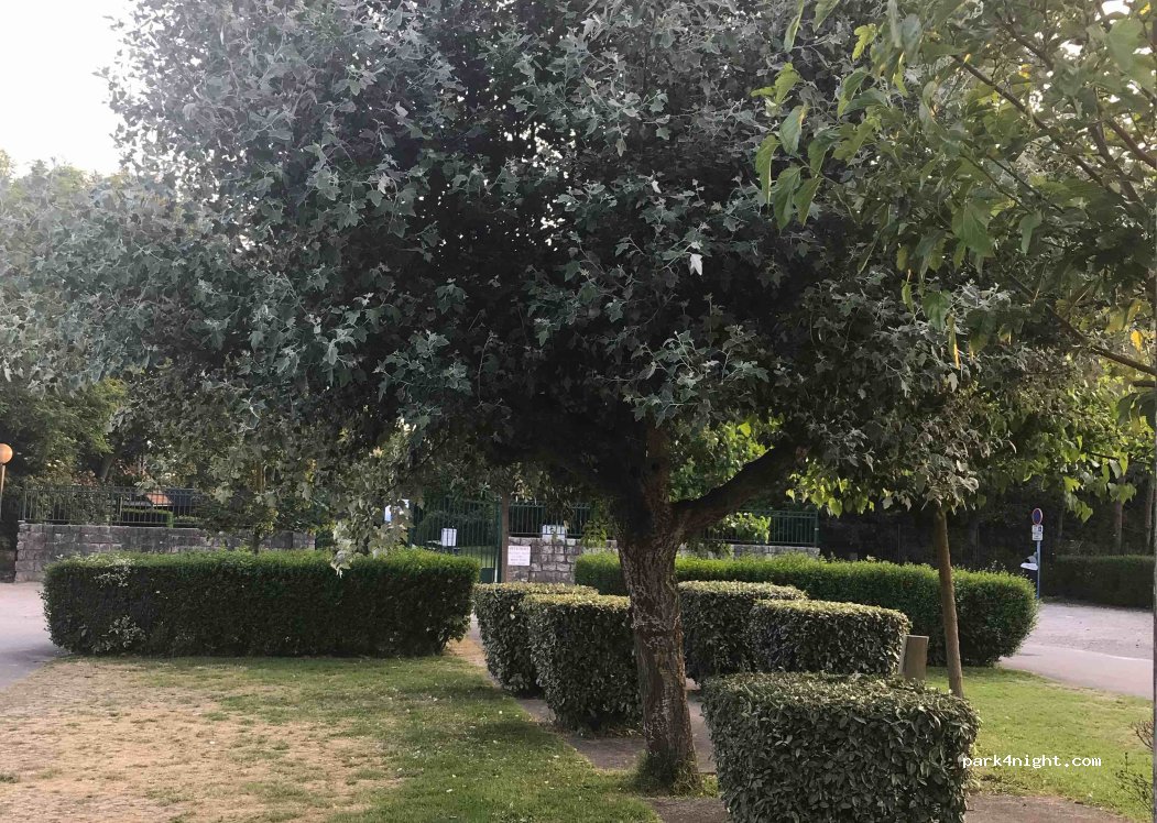 (62480) Le Portel - Rue Jean-Paul Gachère — foto 3