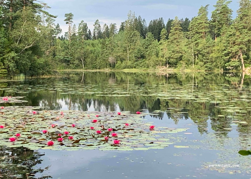 (504 93) Borås - Unnamed Road — foto