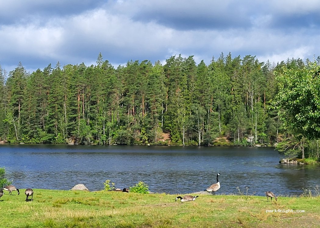 (504 93) Borås - Unnamed Road — foto 3