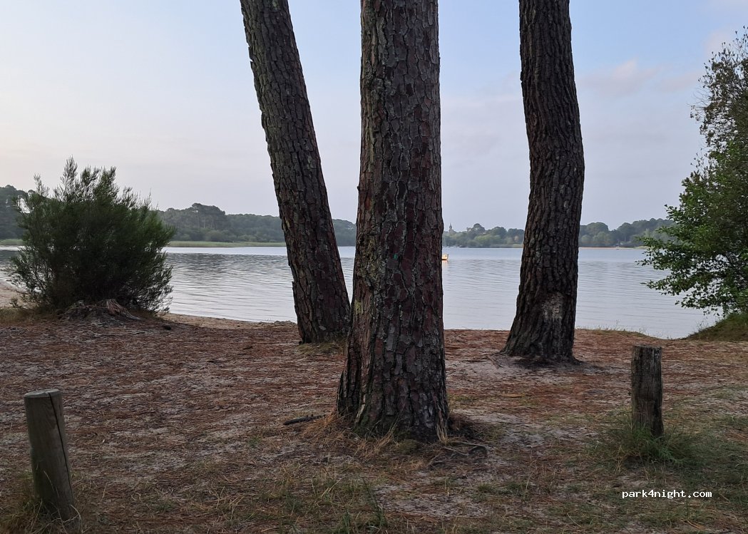 (40460) Sanguinet - Chemin de Sabas — foto 5