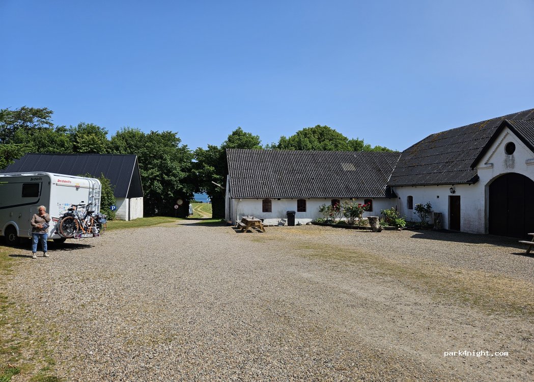 Veno Klit Camping — foto 4