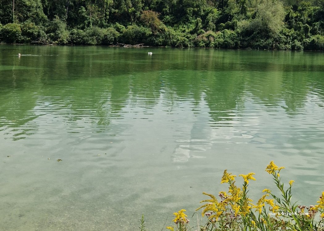 (85774) Unterföhring - Am Poschinger Weiher — foto