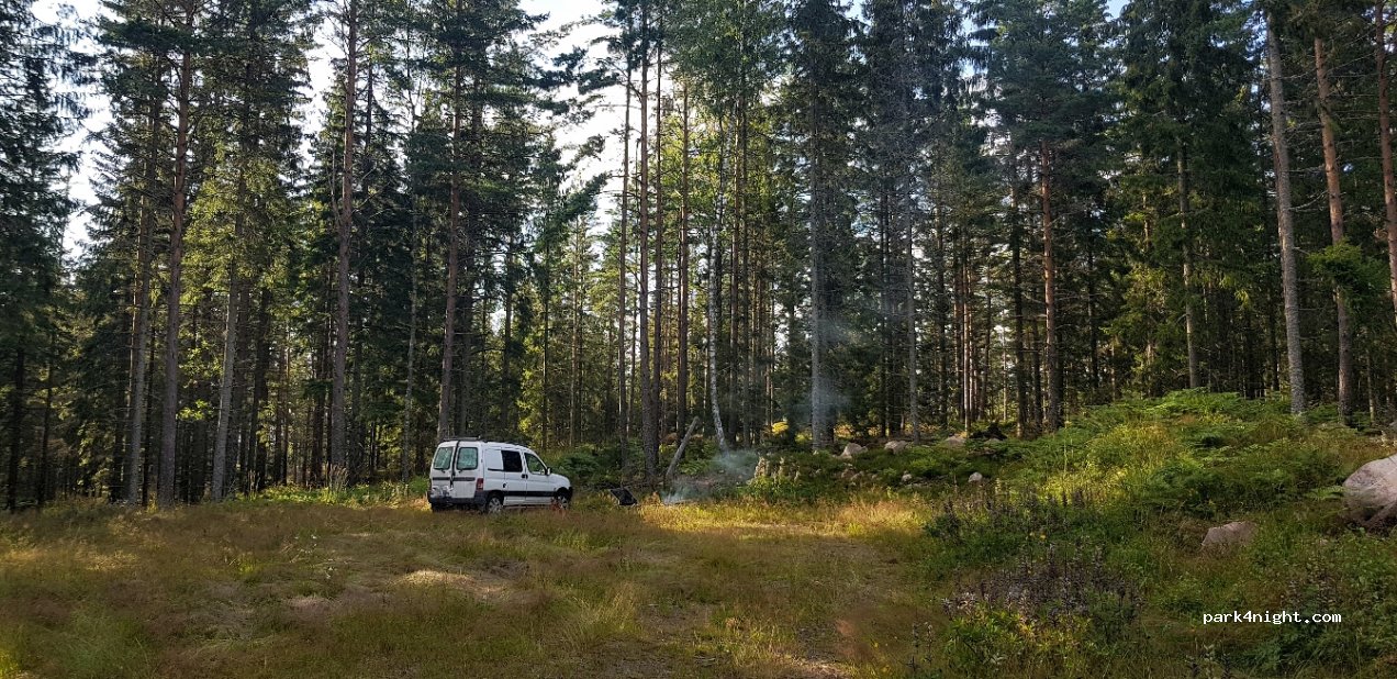 (695 94) Finnerödja - Unnamed Road — foto