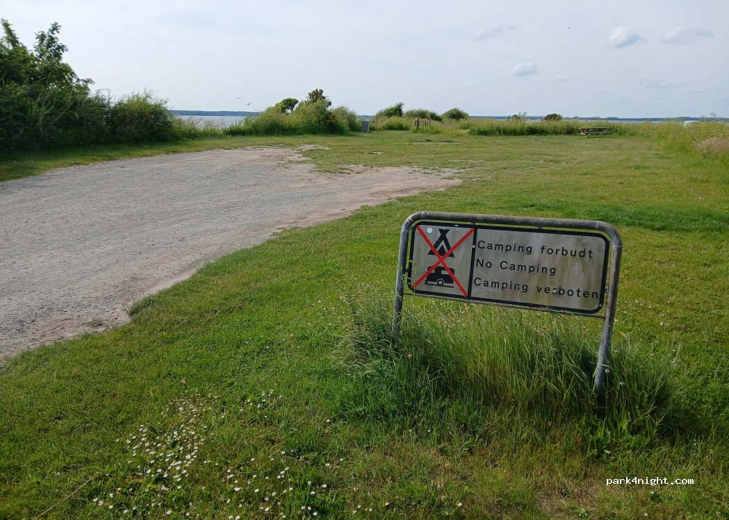 (4780) Stege - Hølenvej — foto 5