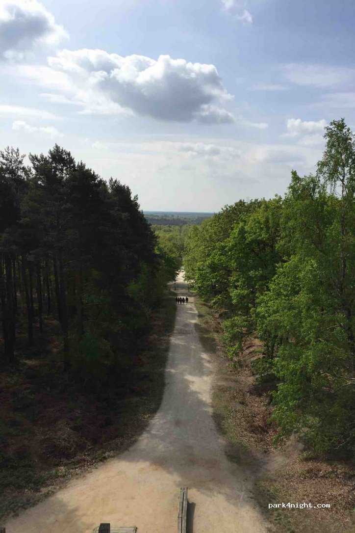 (45340) Seichebrières - Route Forestière de Courcy-aux-Loges — foto