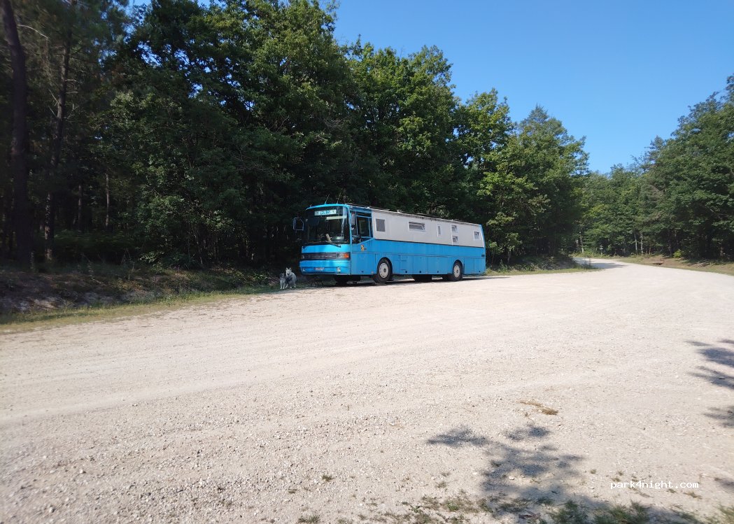 (45340) Seichebrières - Route Forestière de Courcy-aux-Loges — foto 4