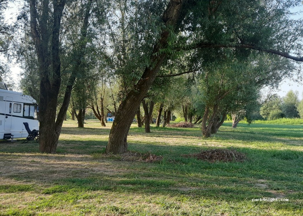 Public River Beach — foto 4