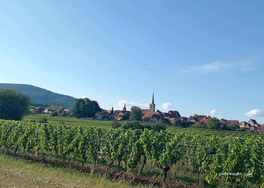(67140) Mittelbergheim - 3 Route du Hohwald — foto 4