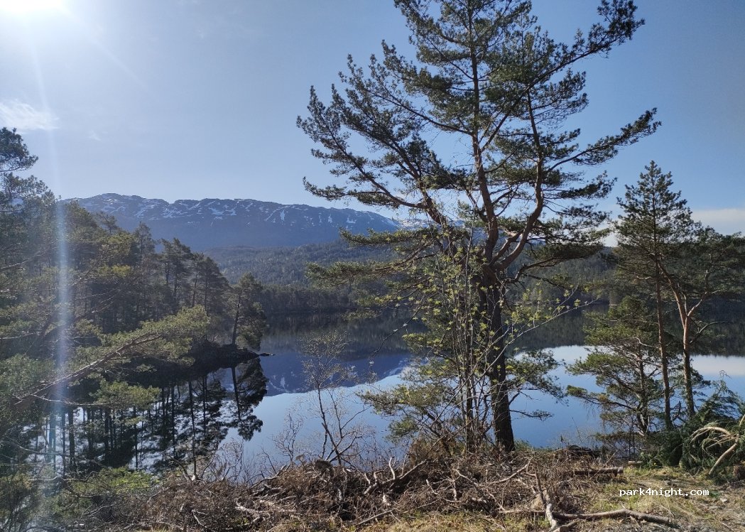(5642) Holmefjord - Primær Fylkesveg 48 — foto 4