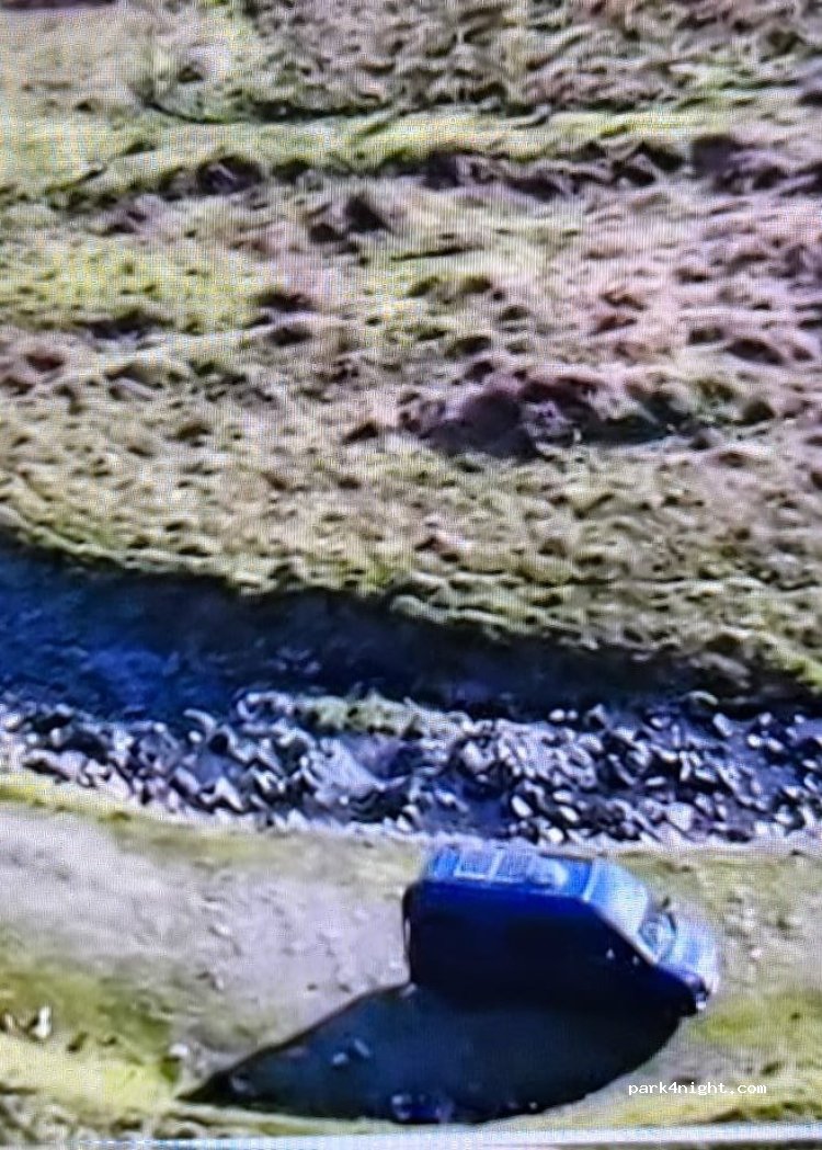(DG10 9LH)  - Polmoodyburn Bridge — foto 5