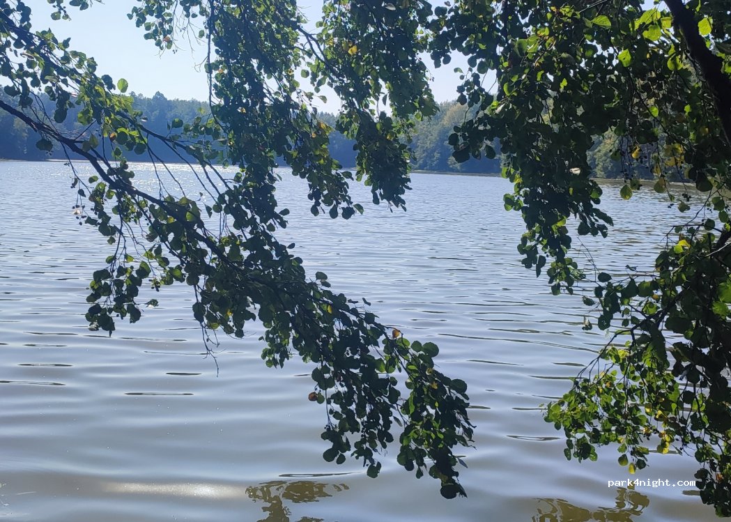 Camping Corner — foto 4