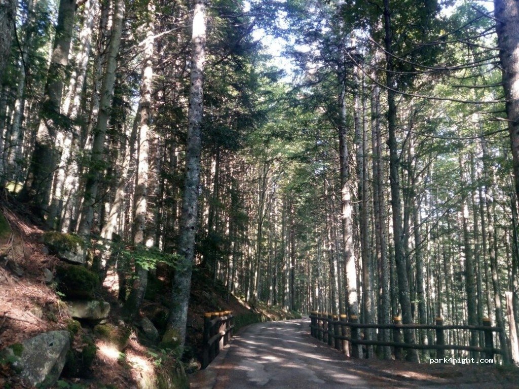 Camping Bucaneve — foto 2