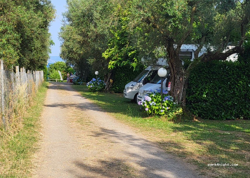 (01010) Gradoli - Strada Provinciale 114 Lago di Bolsena — foto 5