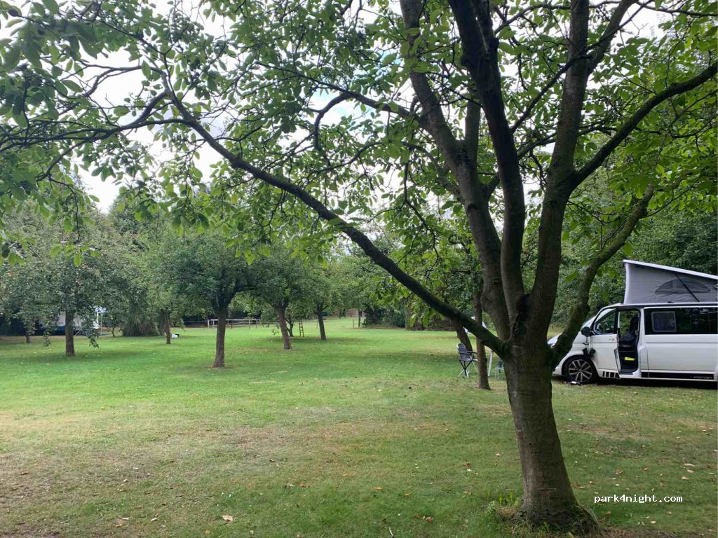 Door's Logies — foto 2