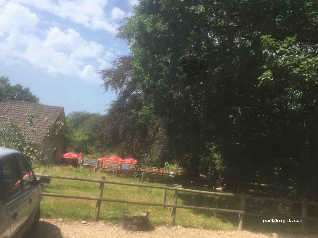 Alpine Grove Touring Park — foto