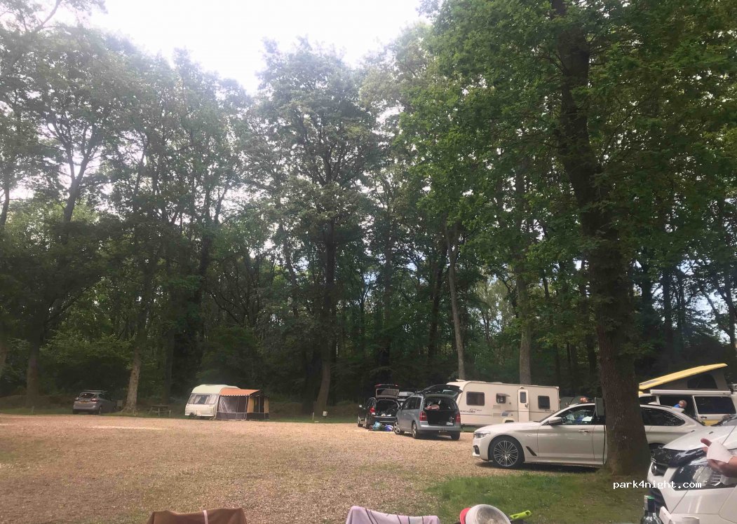 Alpine Grove Touring Park — foto 3