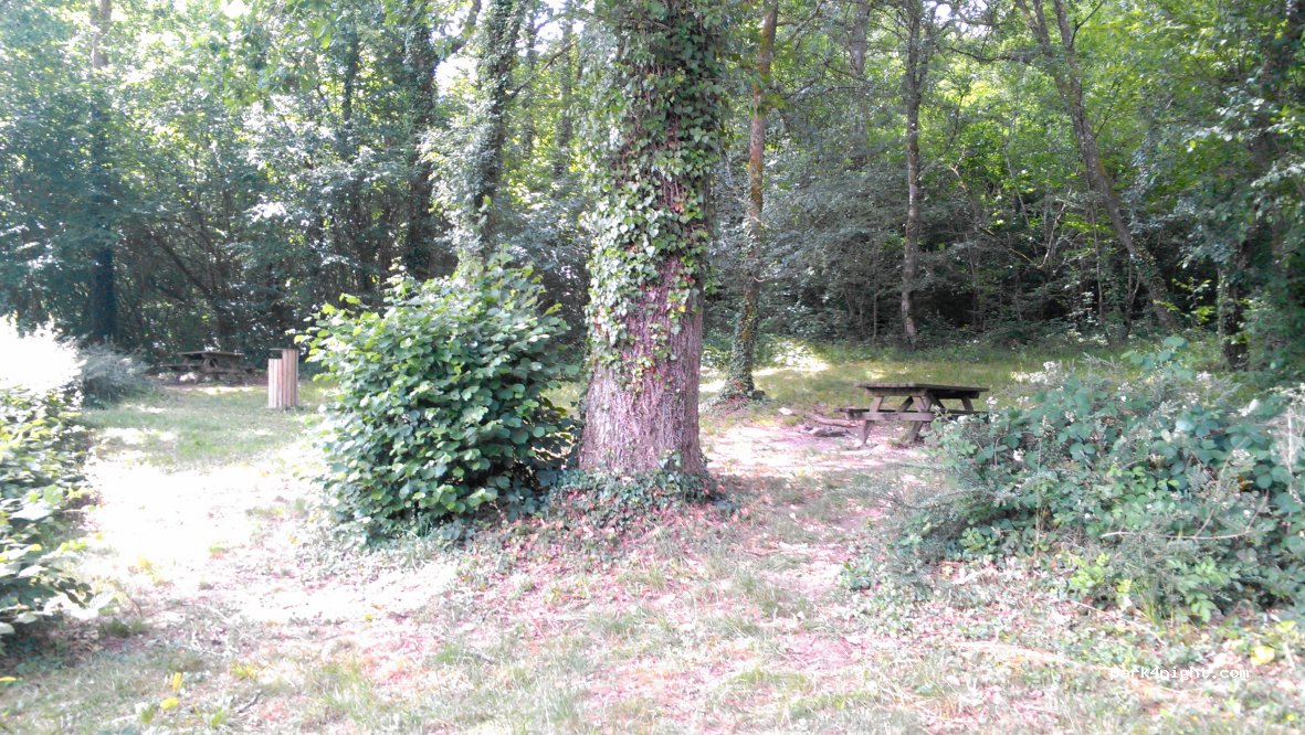 (52260) Rolampont - La Rieppe — foto 2