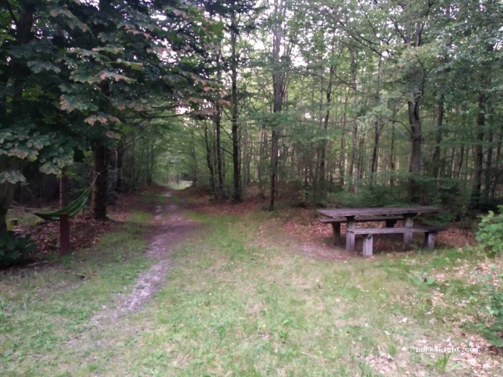 (7700) Thisted - Unnamed Road — foto