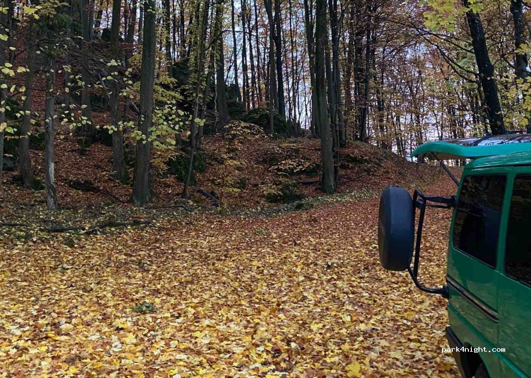 (91346) Wiesenttal - Unnamed Road — foto 4