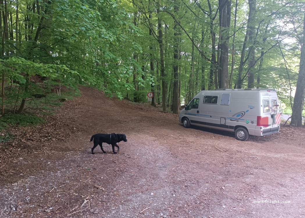 (91346) Wiesenttal - Unnamed Road — foto 5